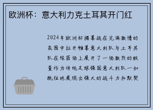 欧洲杯：意大利力克土耳其开门红