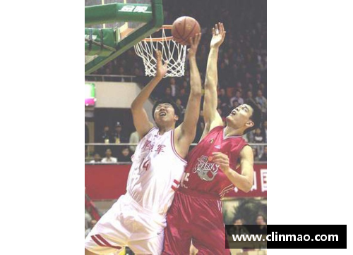 王治郅NBA经典时刻：辉煌岁月与传奇表现